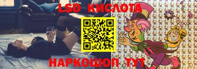 гашик Новозыбков