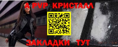 спиды Новодвинск