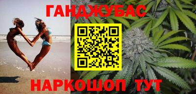 гашик Новозыбков