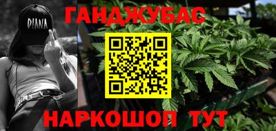 спиды Новодвинск