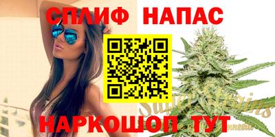 спиды Новодвинск