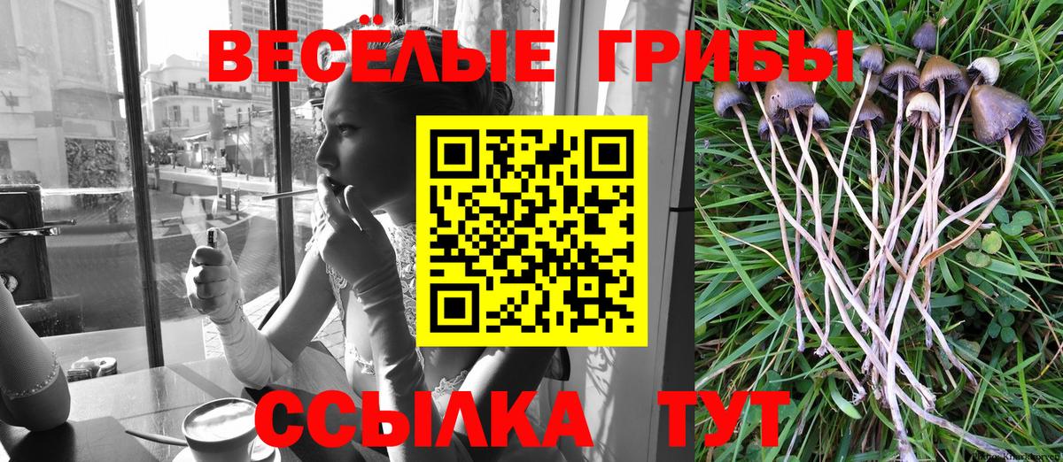 Галлюциногенные грибы прущие грибы Саратов
