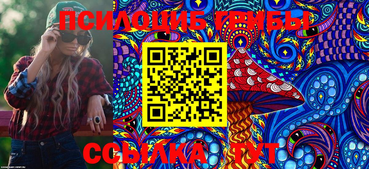 Саратов  Псилоцибиновые грибы Psilocybe  Вход с VPN 